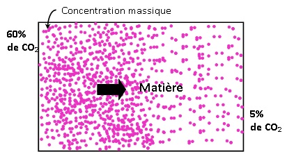 Transfert de Masse  /enseignant [ Agoudjil, B. ]