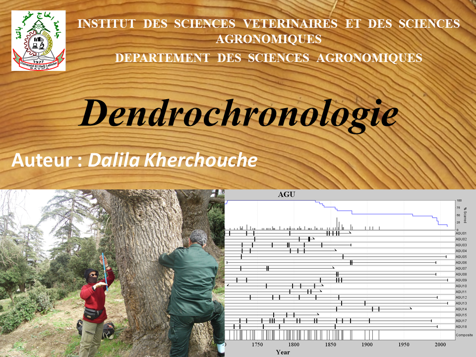 Dendrochronologie 