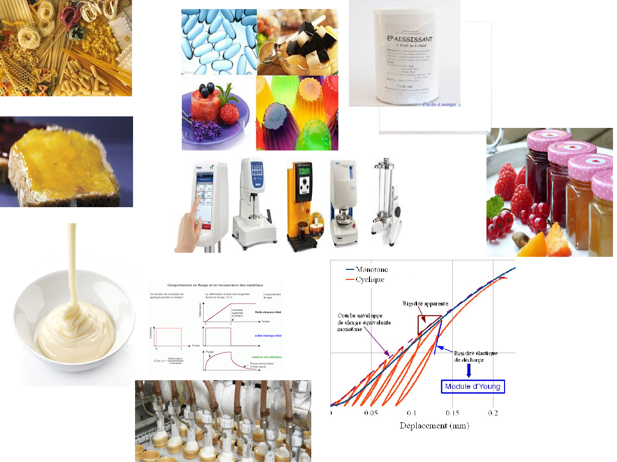 Rheologie des aliments