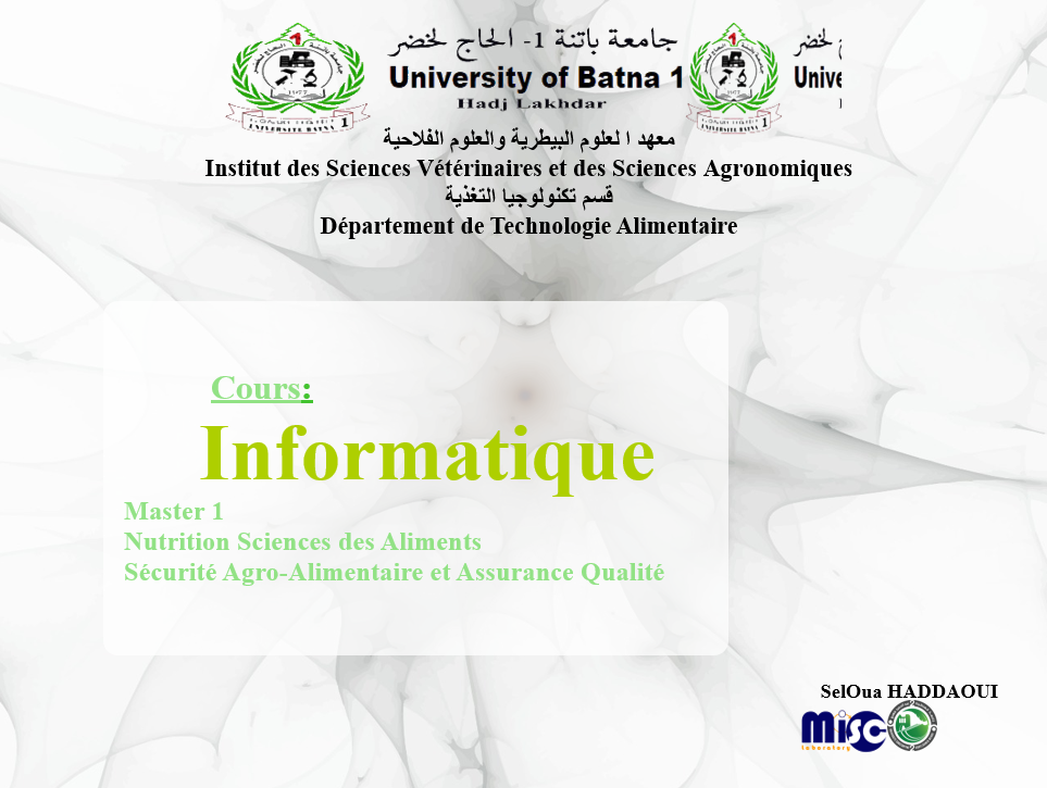 Informatique / Seloua HADDAOUI