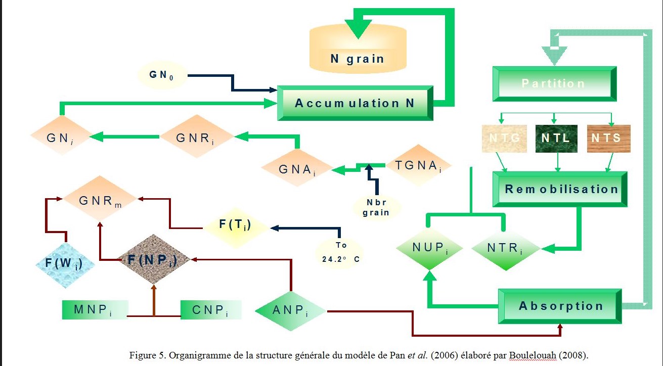 Modélisation et écophysiologie des cultures (Eco_Mod)