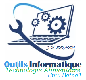 Outils Informatique/ Seloua HADDAOUI